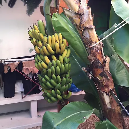 Fabulous Anjos 아파트
